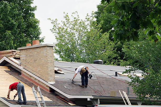 Best Roof Maintenance Services  in Arlington Heights, WA