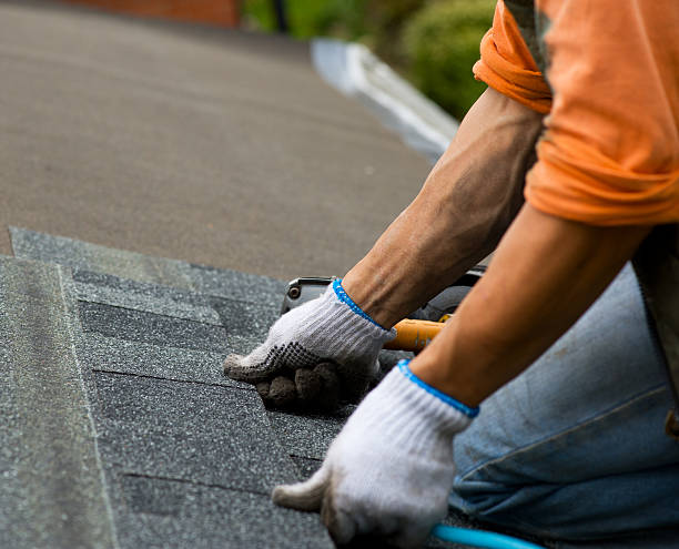 Best Roof Repair Services  in Arlington Heights, WA